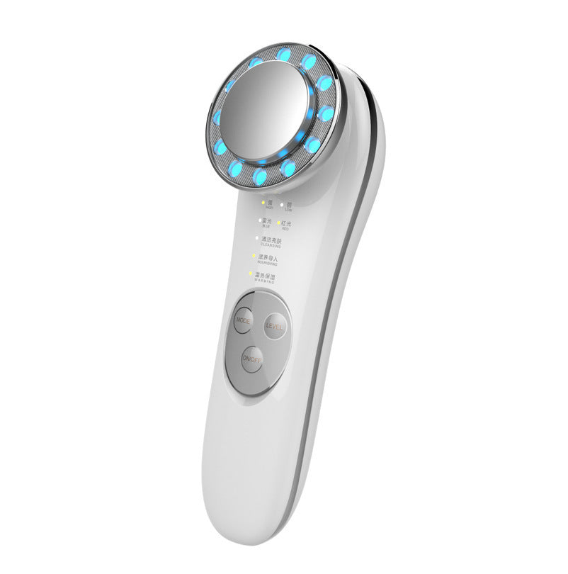 Facial Skin Massager